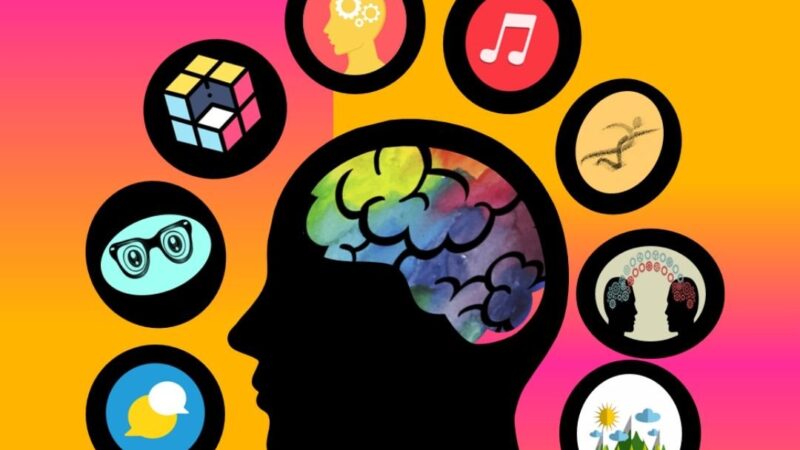 Los tipos de inteligencia en los niños