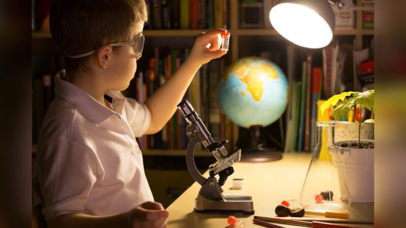 Desarrollo del talento