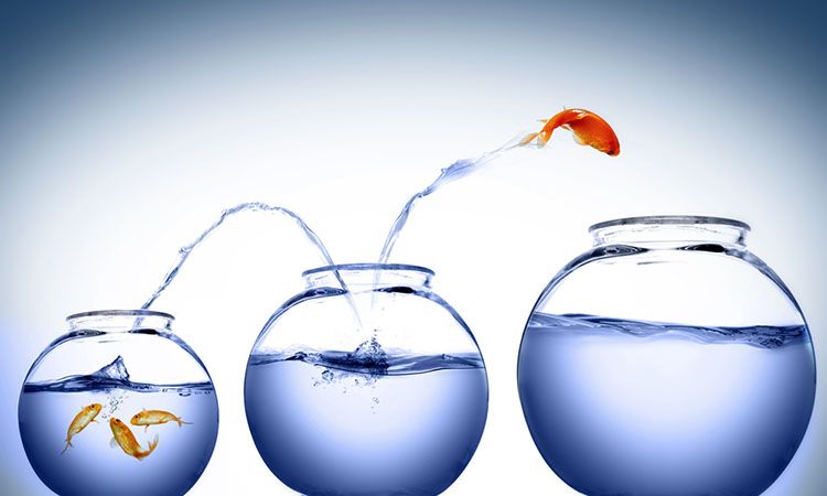 Rompiendo paradigmas en la educación