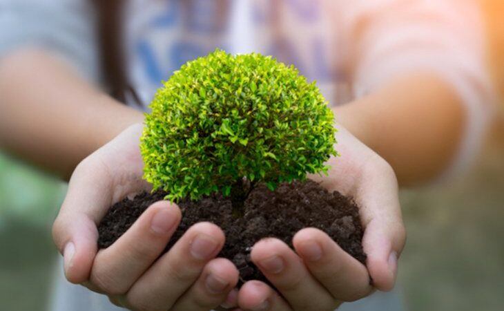 5 DE JUNIO DÍA MUNDIAL DEL MEDIO AMBIENTE