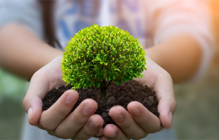 5 DE JUNIO DÍA MUNDIAL DEL MEDIO AMBIENTE