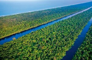 5 DE JUNIO DÍA MUNDIAL DEL MEDIO AMBIENTE